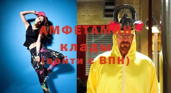 шишки Алексин
