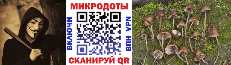 Галлюциногенные грибы GOLDEN TEACHER  даркнет как зайти  Юрьев-Польский 